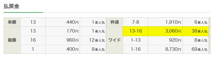 JRA　2026年1月25日京都11R　レース結果