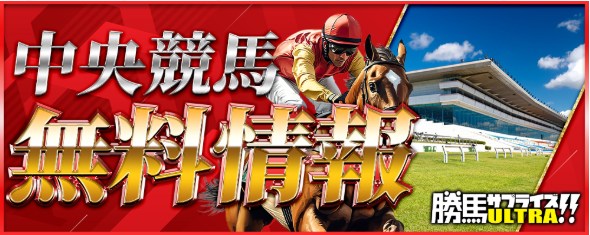 勝馬サプライズウルトラ 無料予想