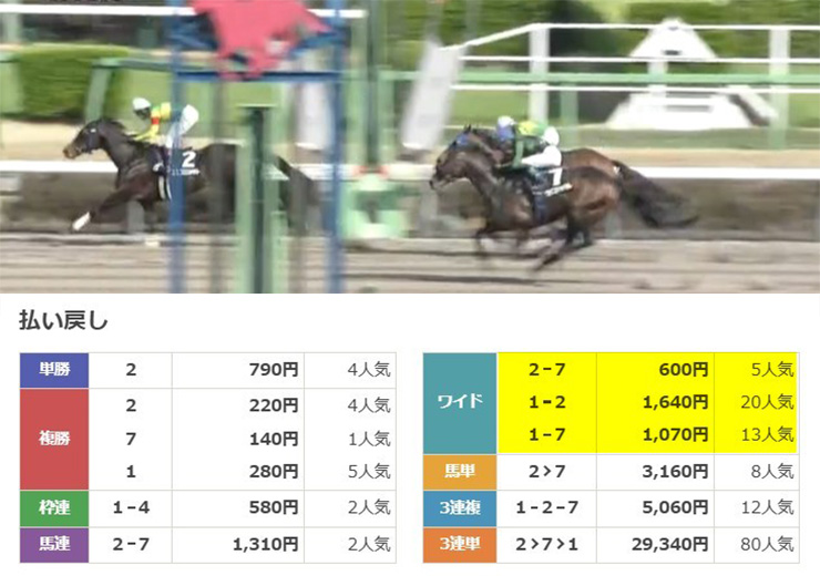 無料予想 2026年3月28日中山9Rレース結果