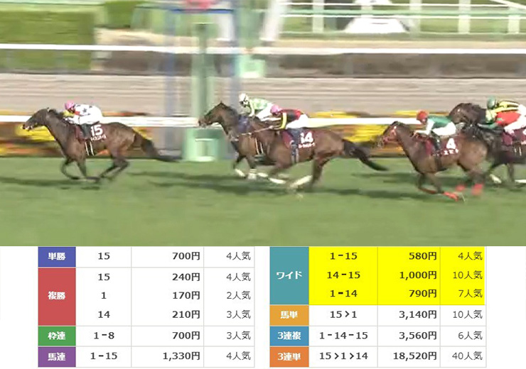 2026年3月28日　中山11R　レース結果