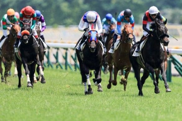 競馬予想会社 裏側